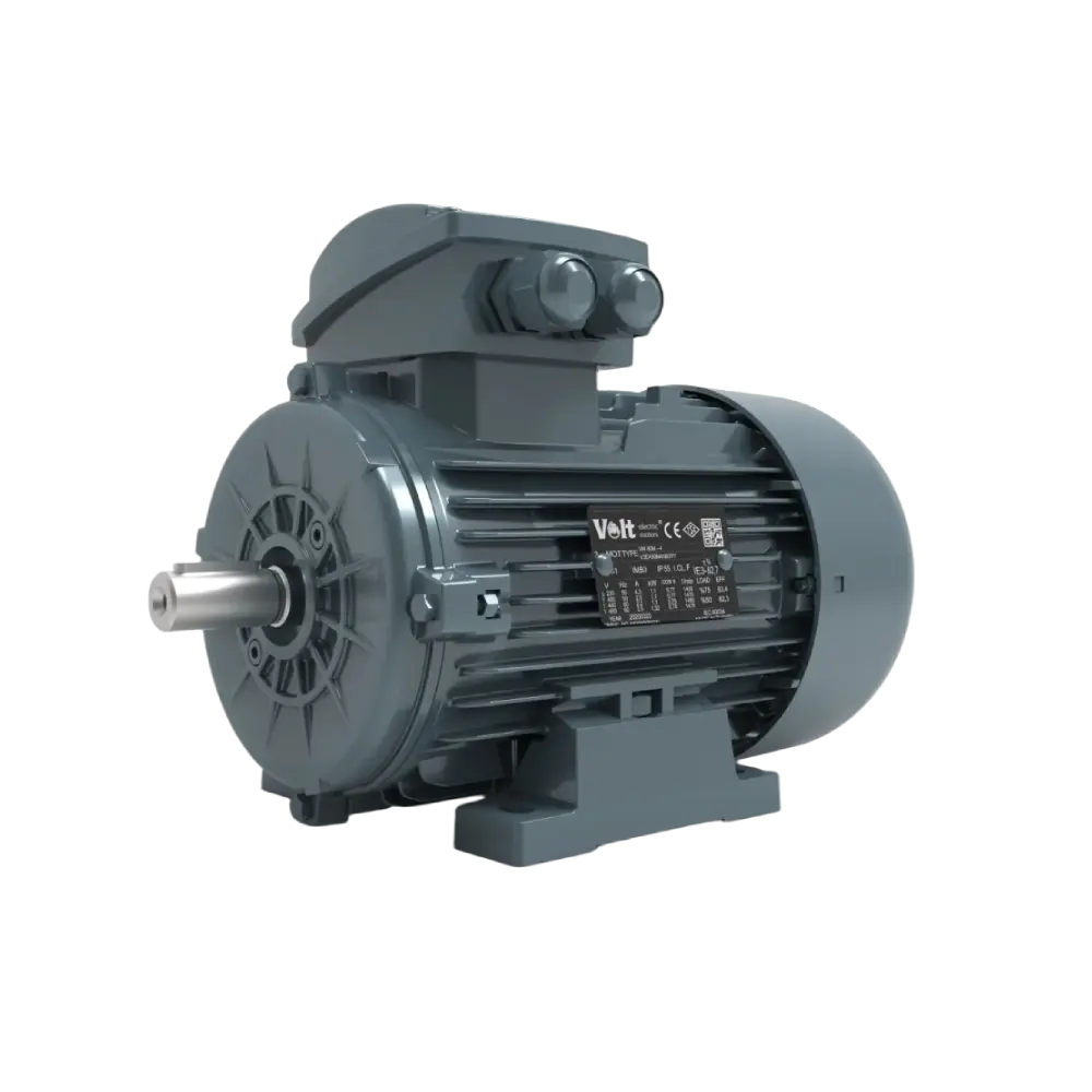 ELECTRIC MOTORS
